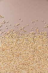 Organic uncooked pearl barley top view. Grains of raw dried broken barley cereal grain as an abstract texture background.