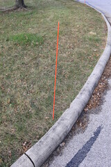 Neon curb marker for snow plow blades