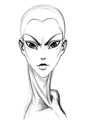 woman woman, face, hair, beauty, vector, illustration, fashion, head, art, eyes, lips, sketch, model, makeup, glamour, drawing, style, lady, hairstyle, person, line, black, people, elegance, design