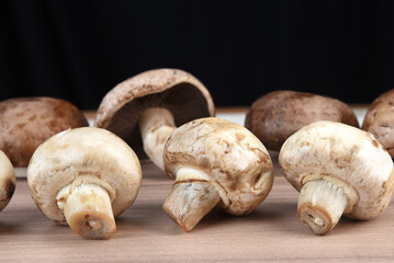 edible and healthy mushrooms for food fungi used in cooking