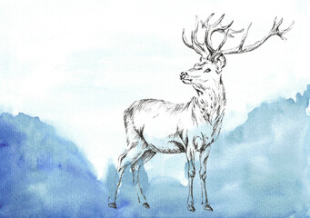 Pencil (ink) drawing of a red deer (Cervus elaphus) at blue mountains landscape background. Hand drawn illustration with paper grain texture.