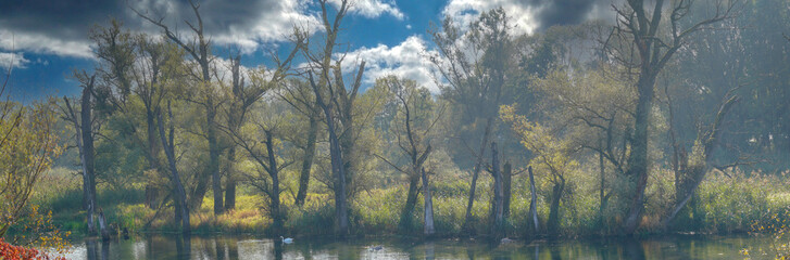 Fototapeta premium The Danube river and its old waters are photographed in Bavaria near Regensburg