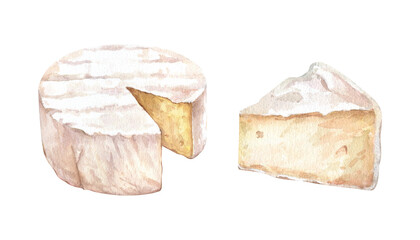Cheese with cutted piece watercolor eimage. Creamy cutted brie or camembert cheese illustration. Delicious food image. French cuisine milk product. Tasty healthy cream organic snack - obrazy, fototapety, plakaty