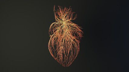 Human heart made out of lines. Brain medical Concept. 3D Rendering.
