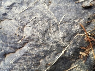 Stone, texture 