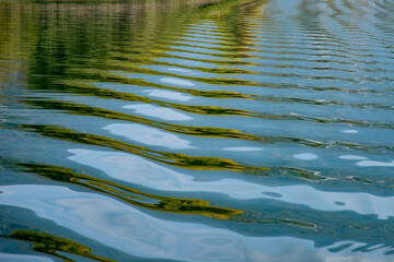 bosisio isola dei cipressi