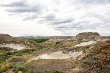 Fototapeta na wymiar Badlands landscape, Dinosaur Provincial Park, Alberta