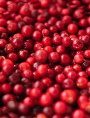 Close-up texture of cowberry berries. Natural background.Vertical photography