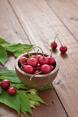 Talok fruit has different names such as karsen, karsem, kerukup siam, keres. This cherry-like fruit is known as kersen. The Dutch used to call it the Japanese kers. Harvest Day