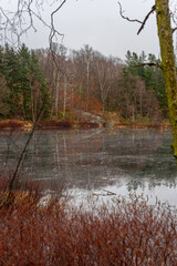 Small pond in autumn forest.