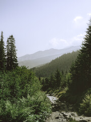 landscape in the mountains