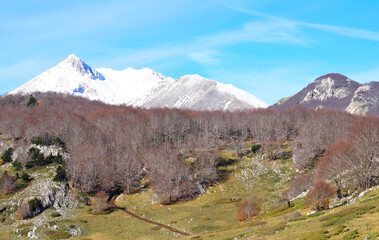 panorama perfetto dei primi giorni di inverno in montagna con vegetazione spoglia e vette innevate, voltigno