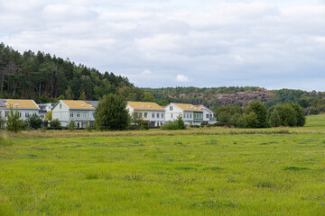 Fototapeta na wymiar Row of residential houses by a green field.
