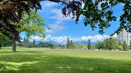 field gate sport recreation green grass weekend family