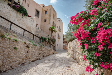 Fototapeta na wymiar Ibiza Stadt (Eivissa)