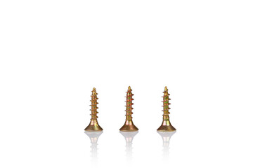 macro screw of golden color on a white background