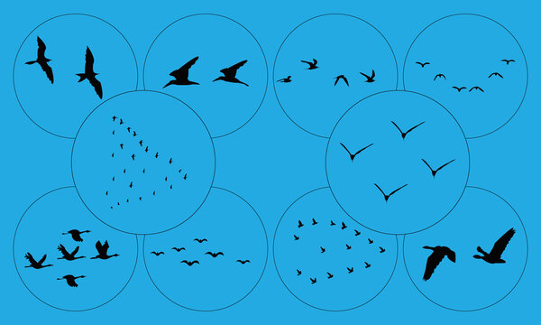 Flying Birds Silhouette Collection 