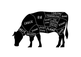 Obraz premium Butcher's guide: Cuts of beef scheme. Illustration of bull on white background