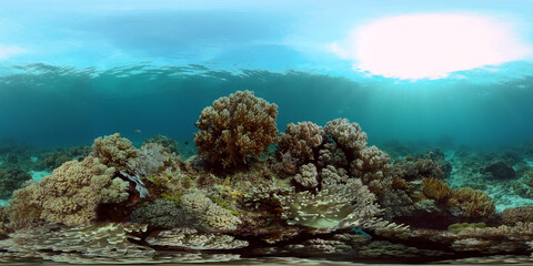 Naklejka na ściany i meble Scene reef. Marine life sea world. Underwater fish reef marine. Philippines. Virtual Reality 360.