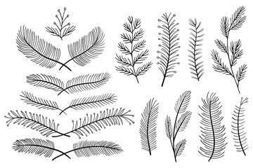 Leafs plants hand draw vector. Drawing beautiful creeper leaf, decorative set	Christmas.