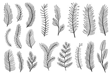 Leafs plants hand draw vector. Drawing beautiful creeper leaf, decorative set	Christmas.