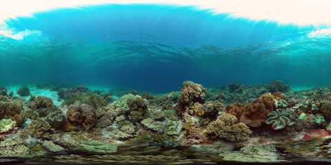 Naklejka na ściany i meble Beautiful underwater world with coral reef and tropical fishes. Colourful tropical coral reef. Philippines. Travel vacation concept 360 panorama VR