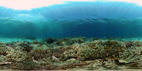 Tropical colourful underwater seas. Coral Garden with Underwater Vibrant Fish. Underwater tropical colourful soft-hard corals seascape. Philippines. 360 panorama VR