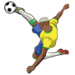 gol do pombo, gol do richarlison, brasil rumo ao hexa, pombo do brasil, gol voleio, BRASIL VETOR , gol do brasil, vai brasil, brasil hexacampeão, hexa brasil, o hexa vem  © Manoel