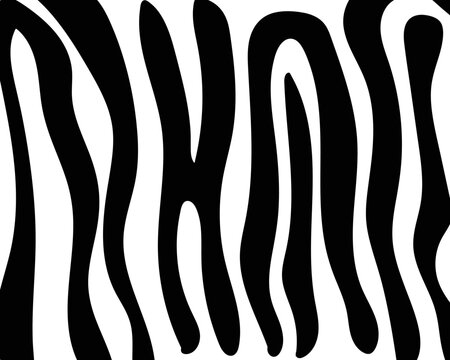 vector zebra skin pattern. black and white striped.