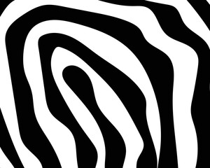 vector zebra skin pattern. black and white lines.