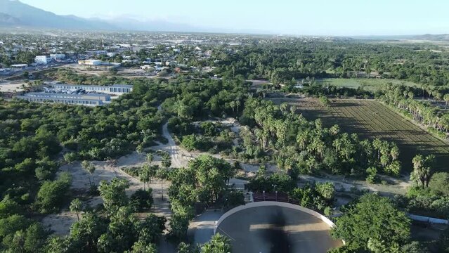 Vuelo de Drone, por enzima de arboles.