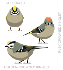 Cute Bird Kinglet Goldcrest Set Cartoon Vector