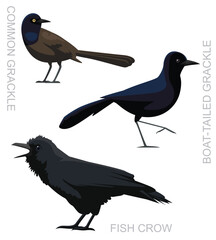 Fototapeta premium Cute Bird Grackle Fish Crow Set Cartoon Vector
