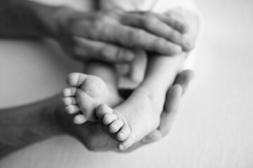 Baby feet in the hands of mother, father, older brother or sister, family. Feet of a tiny newborn close up. Little children's feet surrounded by the palms of the family. Black and white.