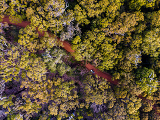 Forrest from above - Western Australia 