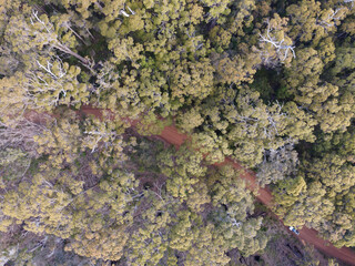 Forrest from above - Western Australia