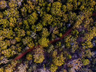 Forrest from above - Western Australia © Drew Davies