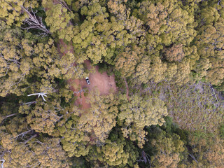 Forrest from above - Western Australia