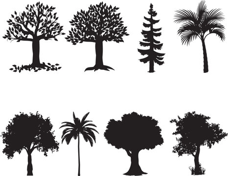 set of trees silhouettes . Silhouettes of trees big collection. Vector illustration