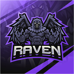 Fototapeta premium Raven fighter esport mascot logo design