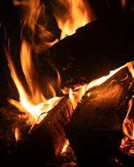 Burning firewood in the fireplace close-up