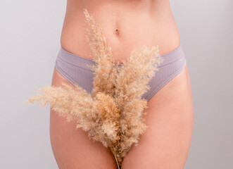 Beautiful young woman wearing gray underwear holds dry grass between legs. Hair removal of unwanted...