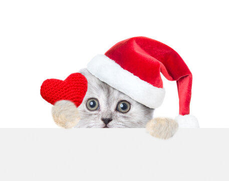 Scared tiny kitten wearing red christmas hat looks above empty white banner and holds red heart. isolated on white background