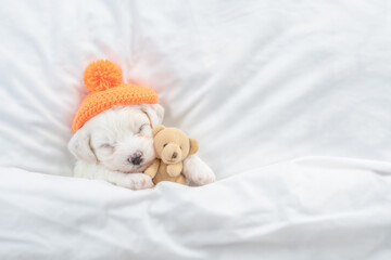 Fototapeta na wymiar Tiny Bichon Frise puppy wearing warm hat sleeps under white blanket on a bed at home and hugs favorite toy bear. Top down view. Empty space for text