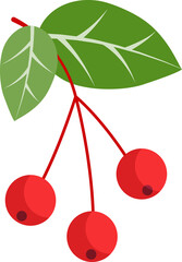 red cherry