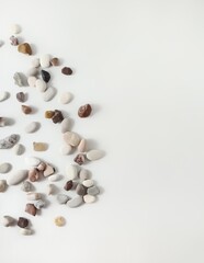 Scattered sea pebbles. Colorful stones on white background