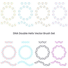 Double Helix DNA Vector Brush Set