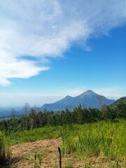Fototapeta premium landscape with blue sky