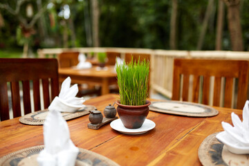 Live grass in a small pot decorating a wooden table outside in an eco restaurant.