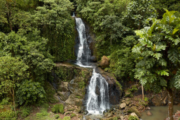 Fototapeta na wymiar A waterfall in the tropical jungle. Water running down a rocky cliff